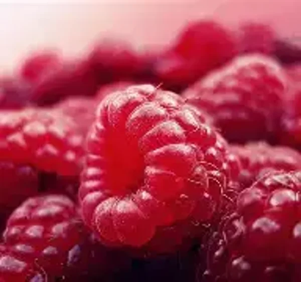 Raspberry #2 Flavouring (CSSC-770)