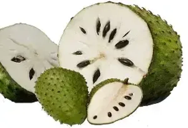 Soursop Flavouring (WFSSC-836)