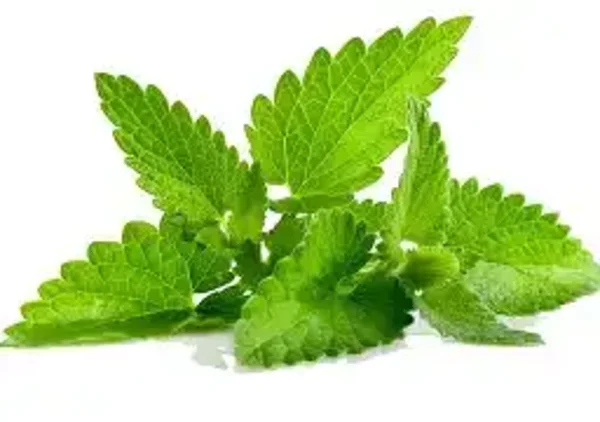 Spearmint #2 Flavouring (CSSC-839)