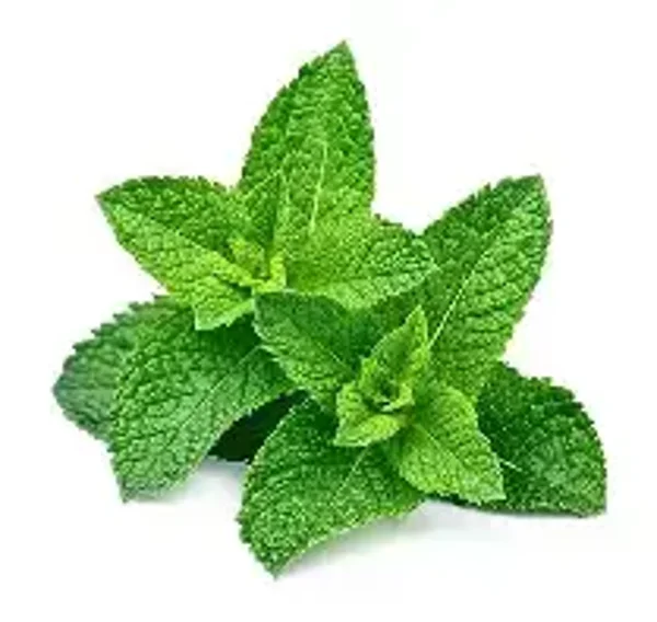 Spearmint Flavouring (FWSSC-838)