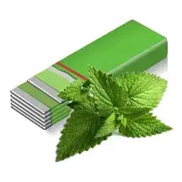 Stick Gum (2 x Mint) Flavouring (FWSSC-842)