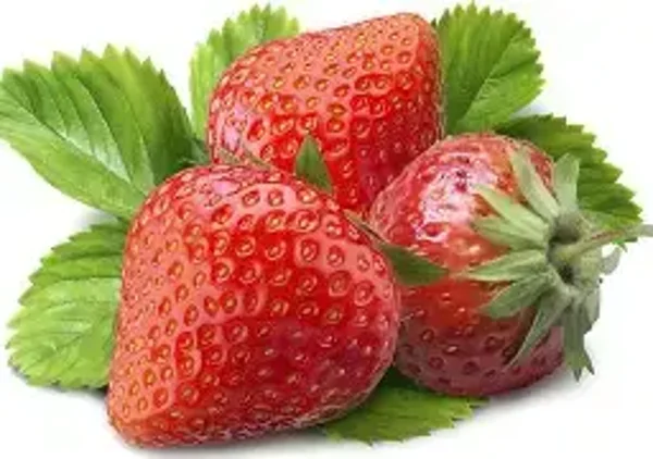 Strawberry (Natural) Flavouring (FWSSC-864)