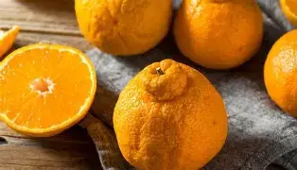 Sumo Citrus Flavouring (FLSSC-880)