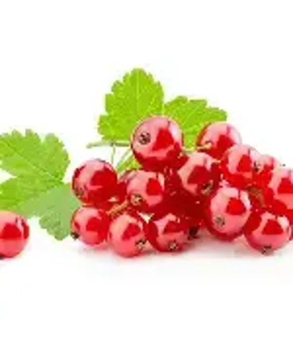 Sweet Currant Flavouring (CSSC-891)