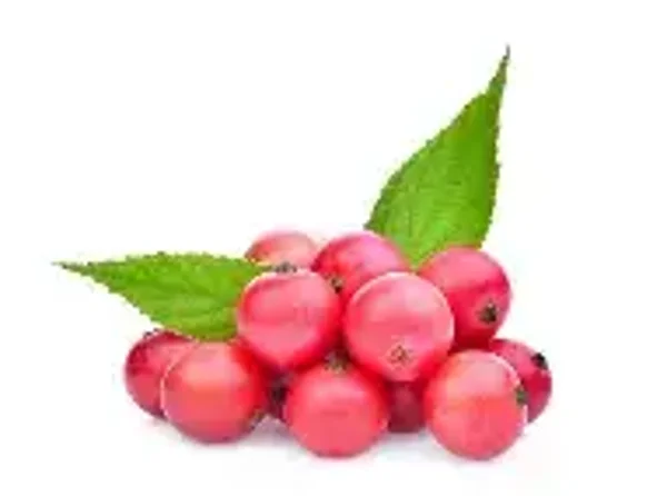 Tea Berry Flavouring (FWSSC-911)