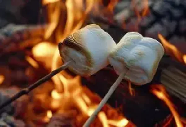 Toasted Marshmallow Flavouring (FWSSC-919)