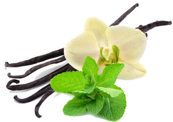 Vanilla Mint Flavouring (LBSSC-951)