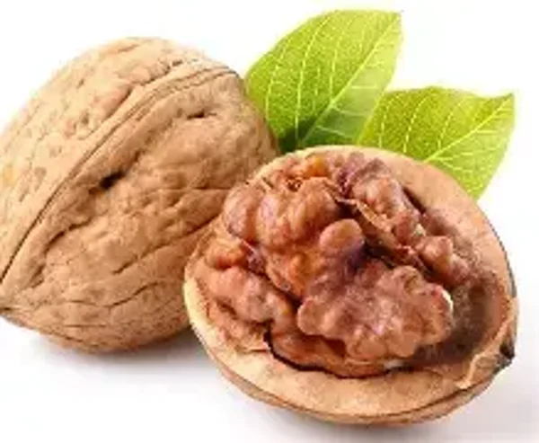 Walnut flavouring (WFSSC-959)