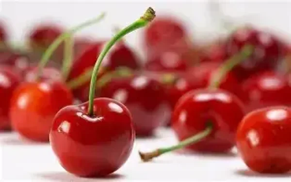Wild Cherry Flavouring (FSSC-977)