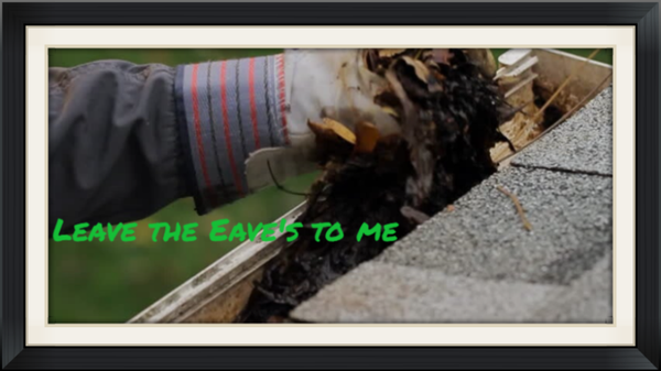 Cleaning Eave's