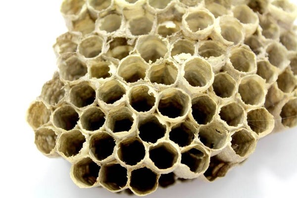 Tinctuur: PROPOLIS 50ML