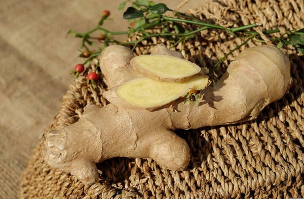 Tinctuur: ZINGIBER OFFICINALIS ROSCOE GEMBER 50ML