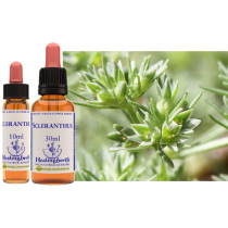 HARDBLOEM (SLERANTHUS) 10 ML