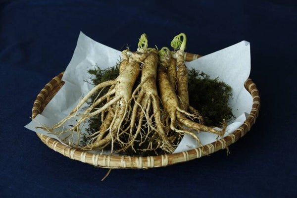 Tinctuur: ELEUTHEROCOCCUS SENTICOSUS RUSSISCHE- GINSENG 50ML