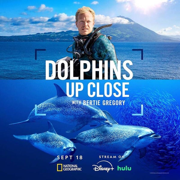 Dolphins Up Close With Bertie Gregory (2025)