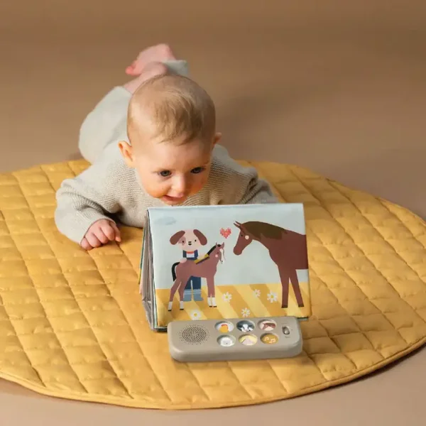 Muzikaal boerderij boek