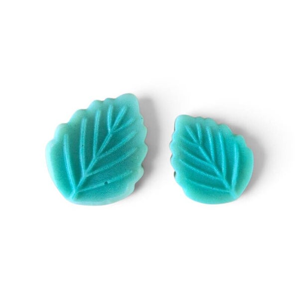 Waxmelt 'Blad'