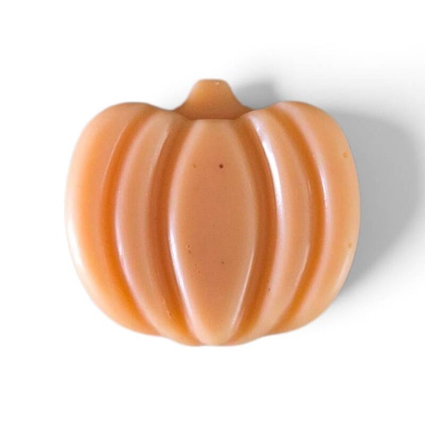 Waxmelt 'Pompoen'