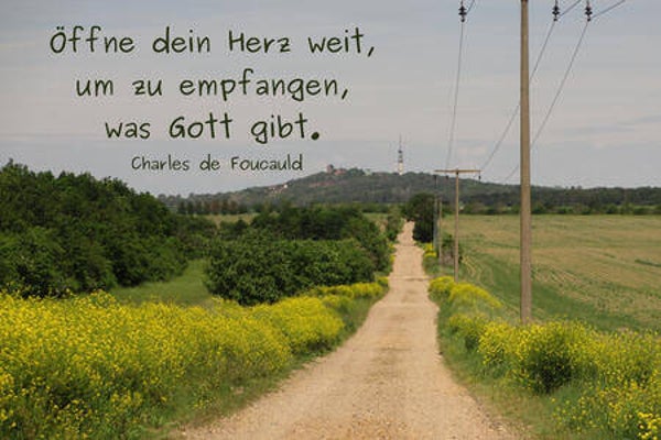 Öffne
