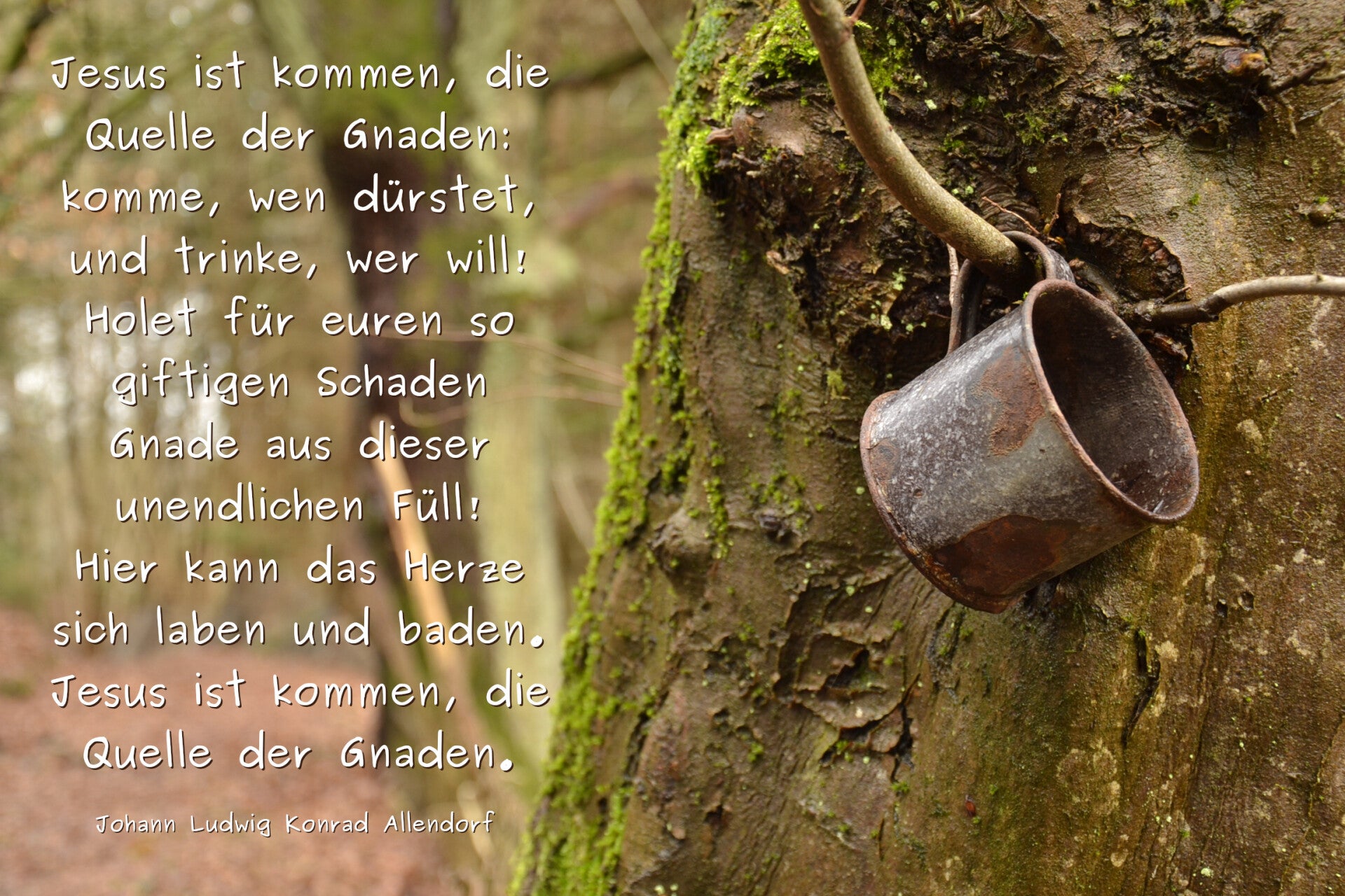 Quelle der Gnade