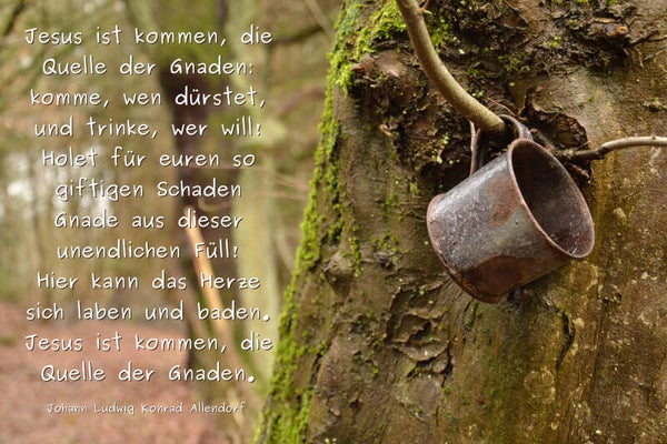 Quelle der Gnade