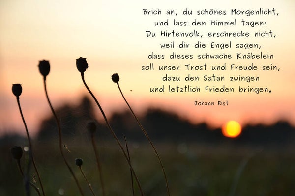Brich an