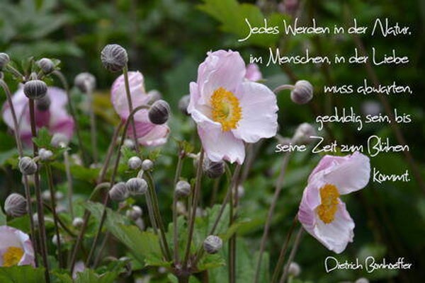 Jedes Werden
