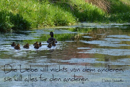 Die Liebe
