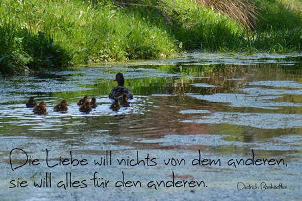 Die Liebe