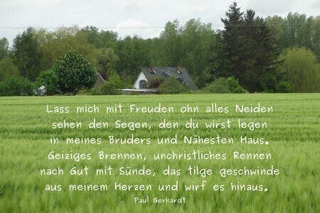 Neid