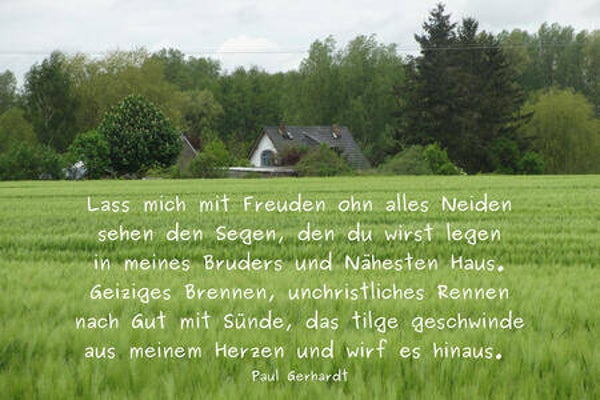 Neid