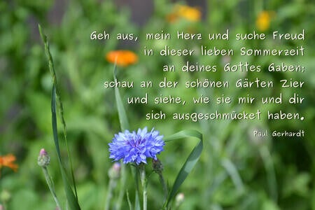 Geh aus