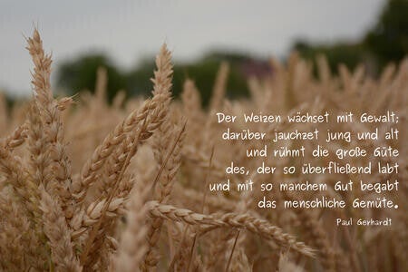 Weizen