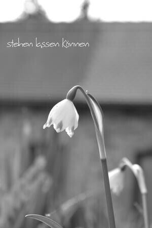 stehen lassen können
