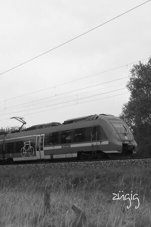 zügig