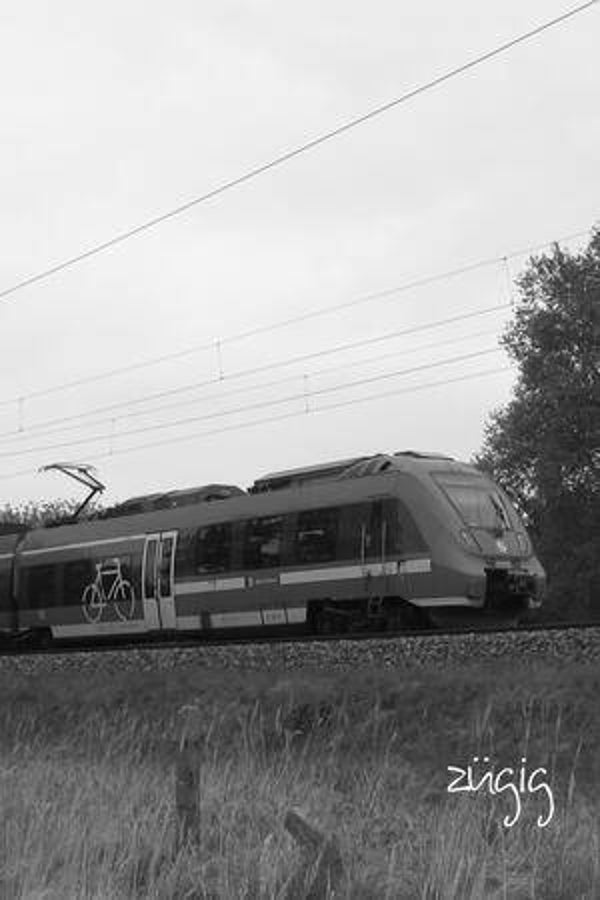 zügig