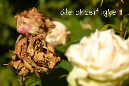 Gleichzeitigkeit