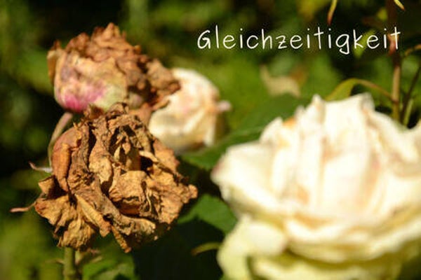 Gleichzeitigkeit