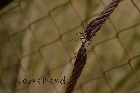 zerreißend