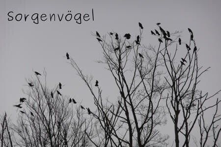 Sorgenvögel
