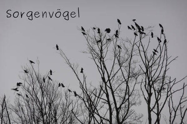Sorgenvögel