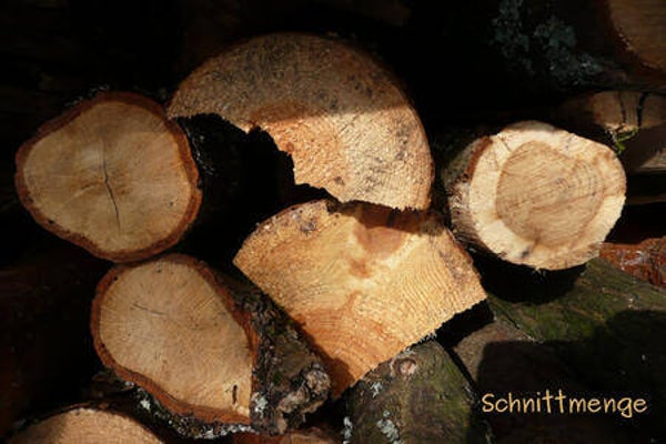 Schnittmenge
