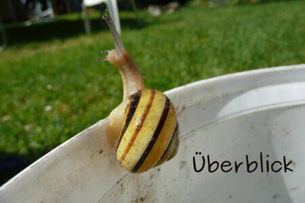 Überblick
