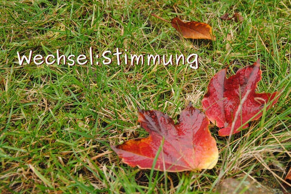 Wechselstimmung