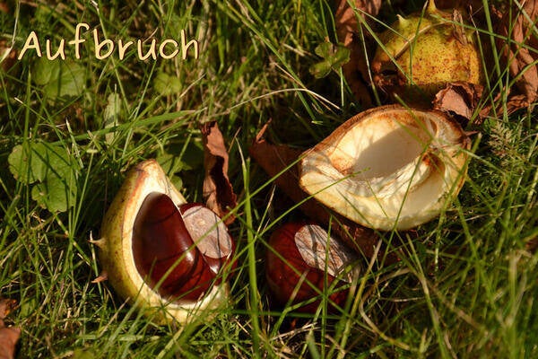 Aufbruch