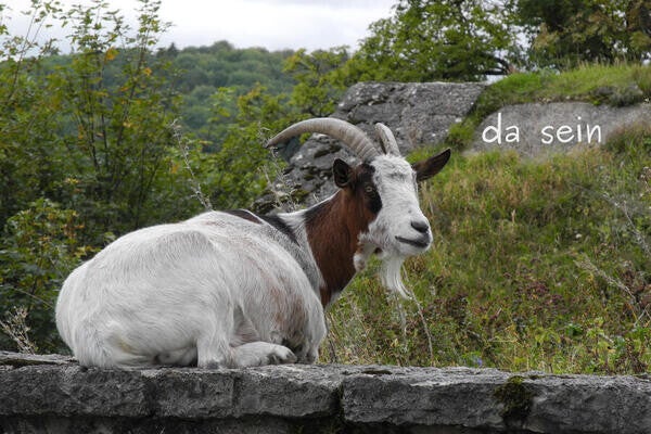 da sein