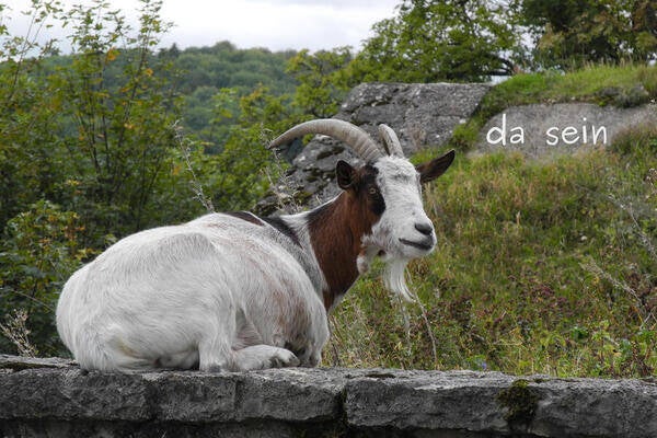 da sein