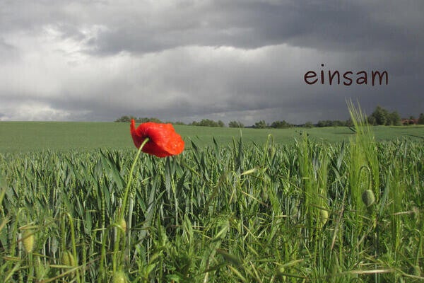 einsam