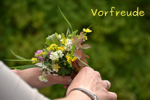 Vorfreude