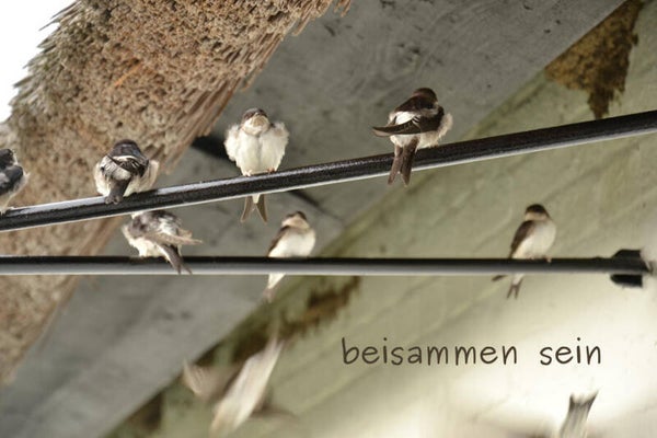 beisammen sein
